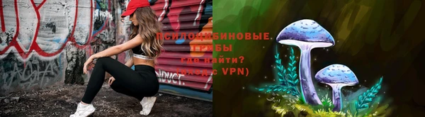 стаф Алексин
