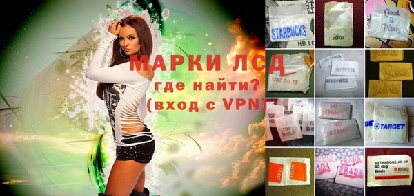 стаф Алексин
