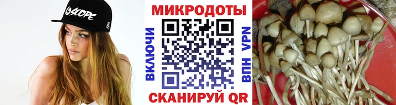 наркошоп  Алексин  Псилоцибиновые грибы прущие грибы 